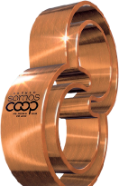 Troféu do Prêmio SomosCoop